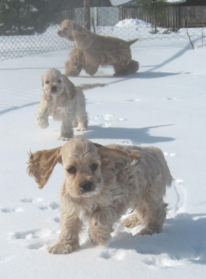 ������������ ����� �������� �� ��������� ����� ��������