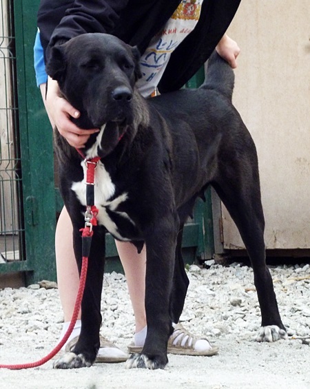 ��������������� ������� (������) �� ��������� ����� ������� �����