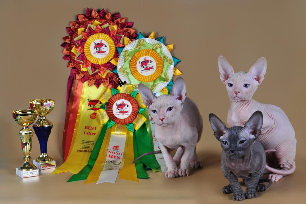 ������� ������