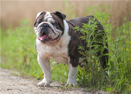 ���������� ������� �� ��������� ����� ����  ����