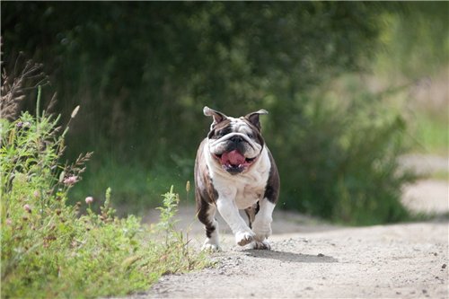 ���������� ������� �� ��������� ����� ����  ����