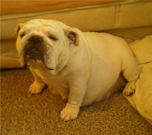 ���������� ������� �� ��������� ����� ����  ����