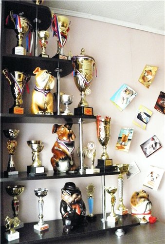 ���������� ������� �� ��������� ����� ����  ����