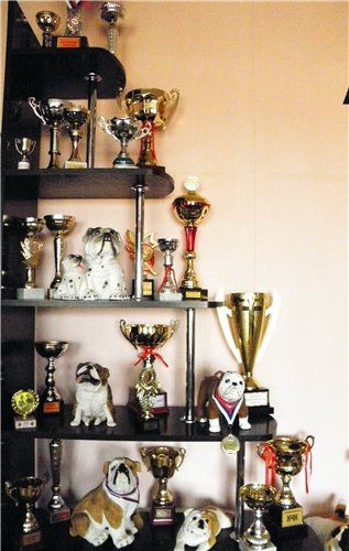 ���������� ������� �� ��������� ����� ����  ����