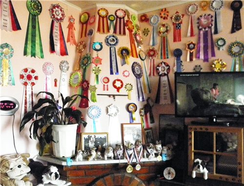 ���������� ������� �� ��������� ����� ����  ����