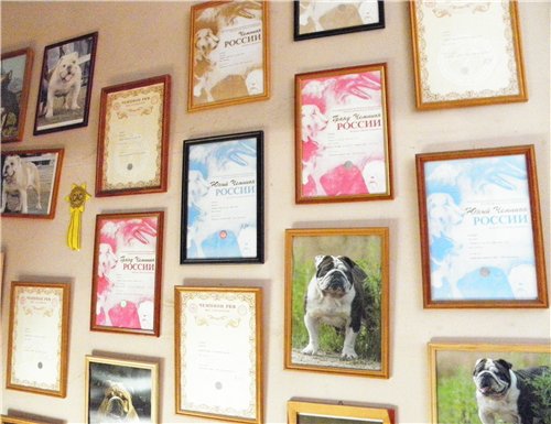 ���������� ������� �� ��������� ����� ����  ����