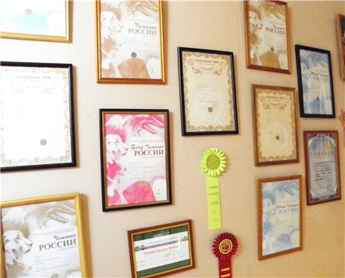 ���������� ������� �� ��������� ����� ����  ����