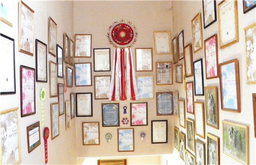 ���������� ������� �� ��������� ����� ����  ����