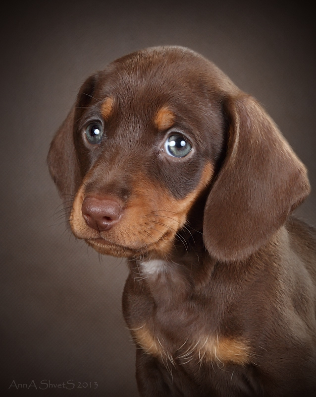 �����. ��������