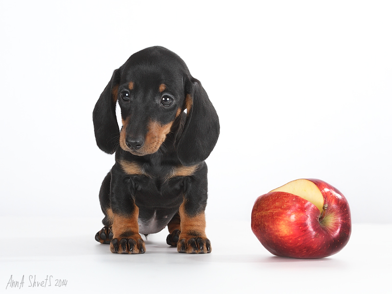 �����. ��������