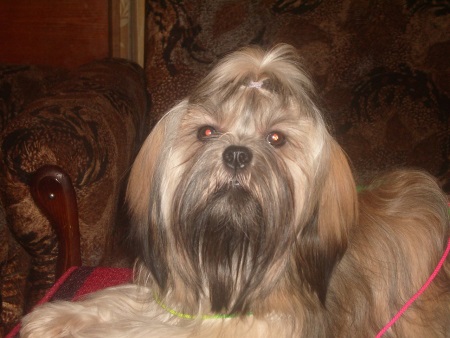 �������� �������� �� ��������� ����� Fiery Hard