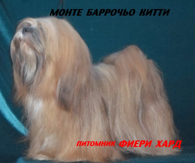 �������� �������� �� ��������� ����� Fiery Hard