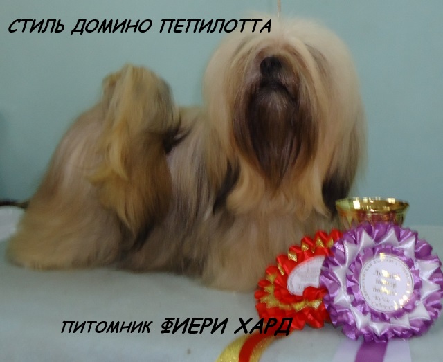 �������� �������� �� ��������� ����� Fiery Hard