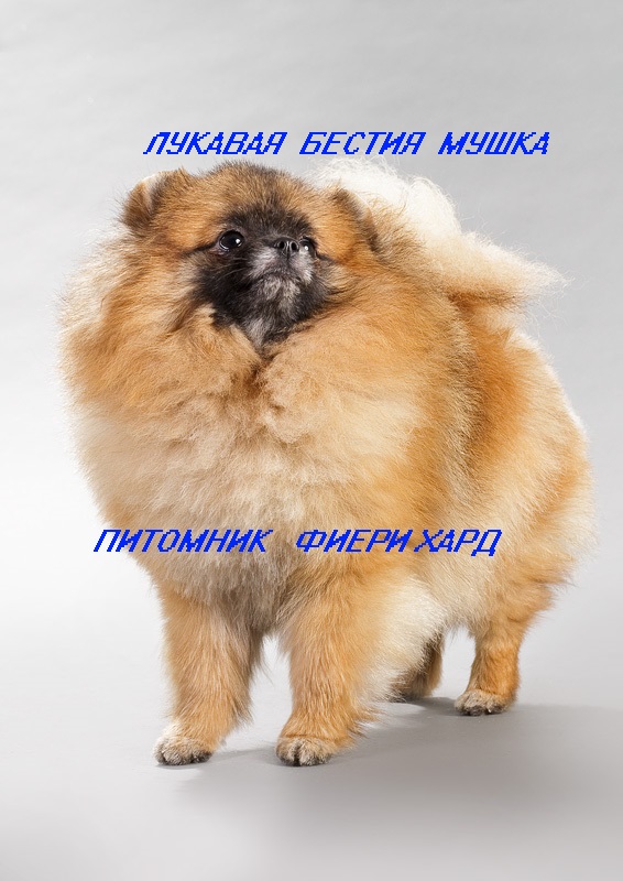 �������� �������� �� ��������� ����� Fiery Hard