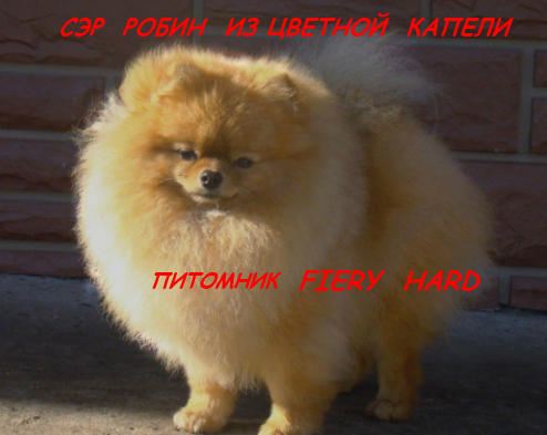 �������� �������� �� ��������� ����� Fiery Hard