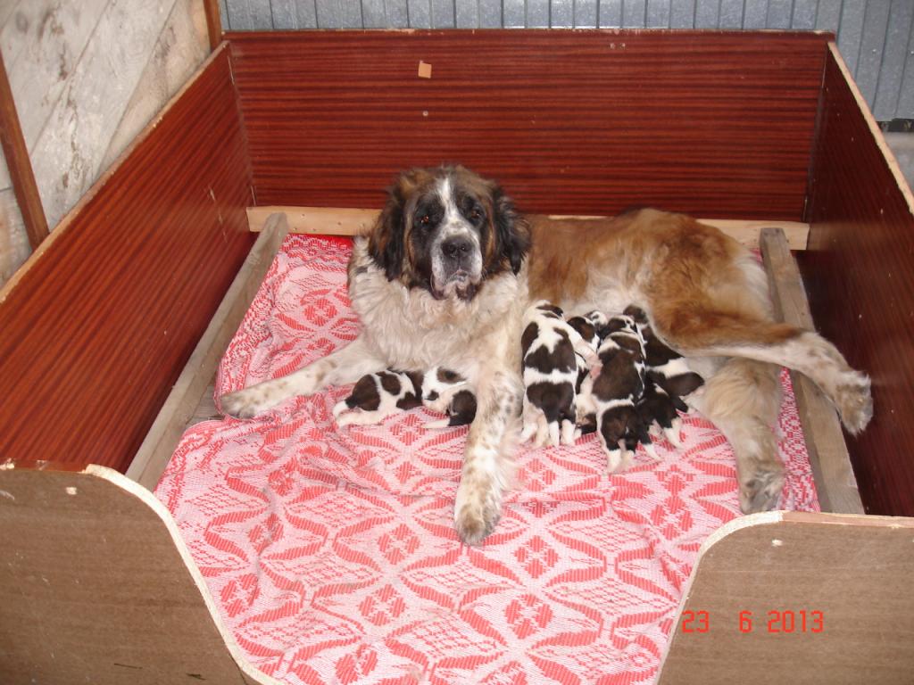 ������������� �������� �����