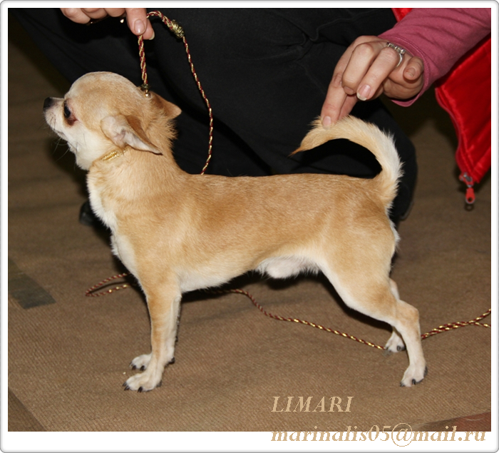 ������������� �������� �����