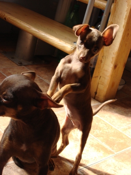 ������������� �������� �����