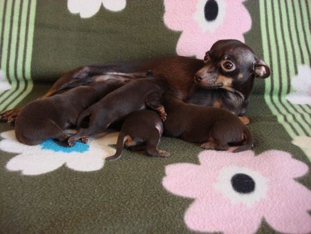 ������������� �������� �����