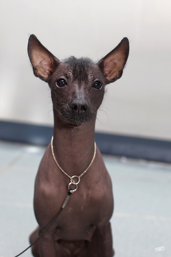 ������������� �������� �����