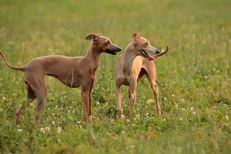 �������� �� ��������� ����� ����� ������