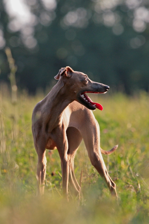 �������� �� ��������� ����� ����� ������