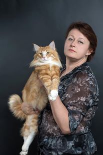 ���������� ������