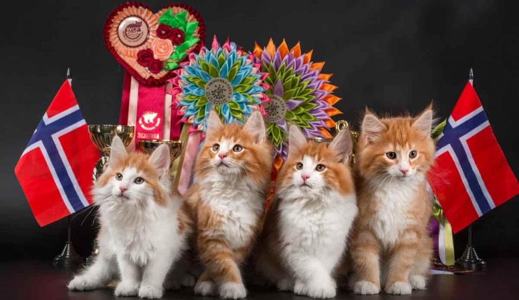 ���������� ������