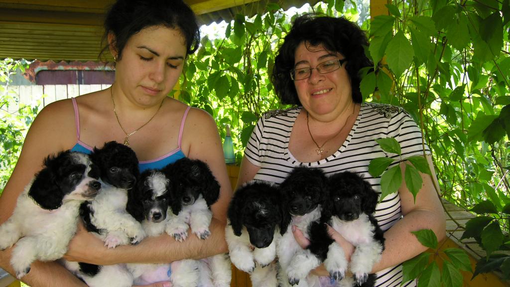 ������ ���