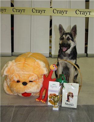 ������������������� �������. ��������