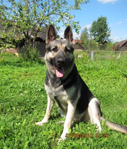 ������������������� �������. ��������