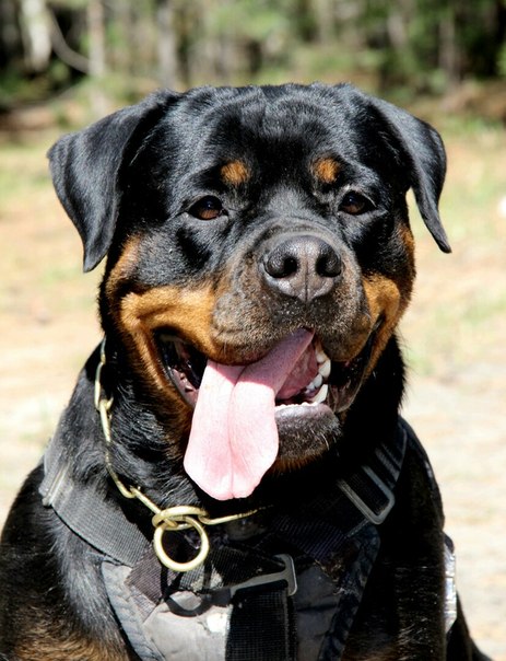 ��������� �� ��������� ����� � ����������� ���.