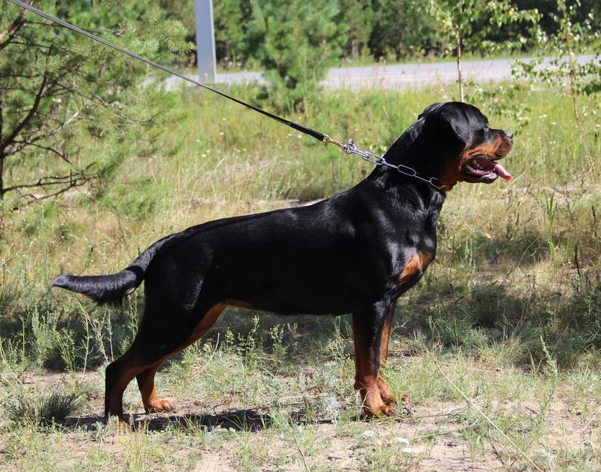 ��������� �� ��������� ����� � ����������� ���.