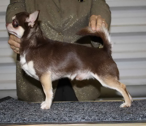 ������������� �������� �����