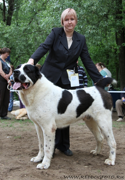 ������������� �������� �����