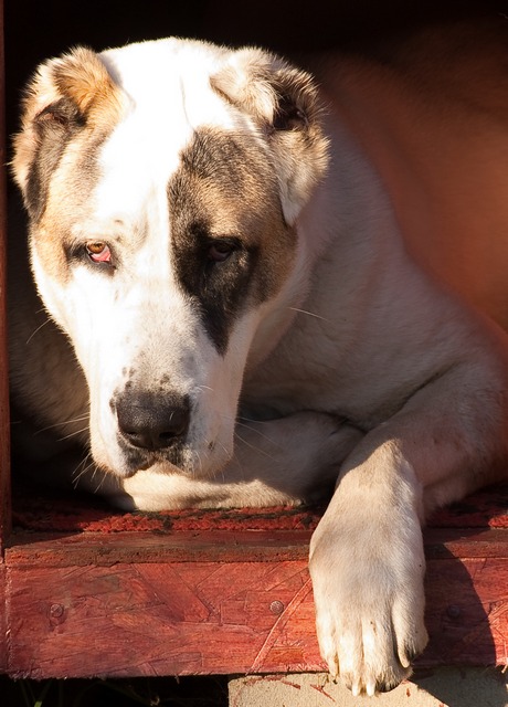 ������������� �������� �����