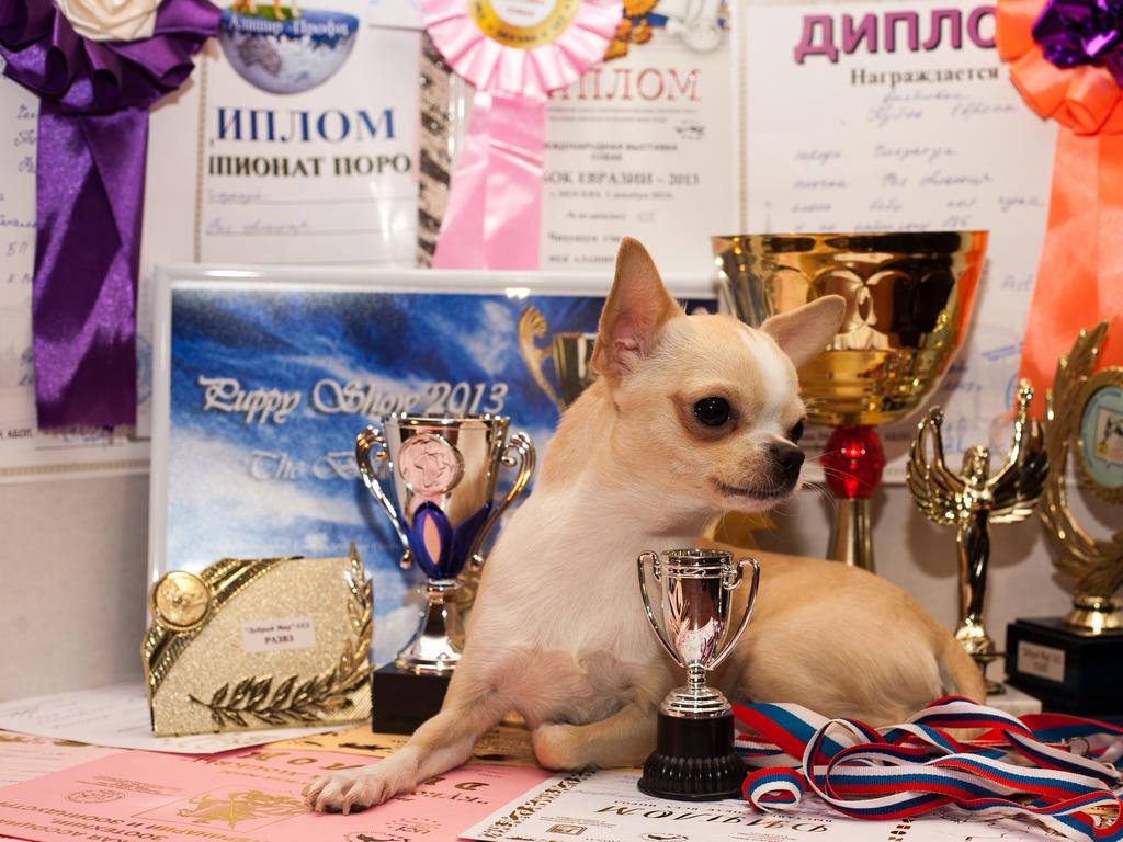 ������������� �������� �����