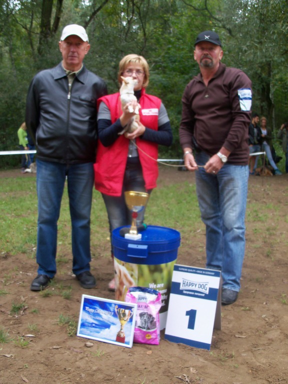 ������������� �������� �����