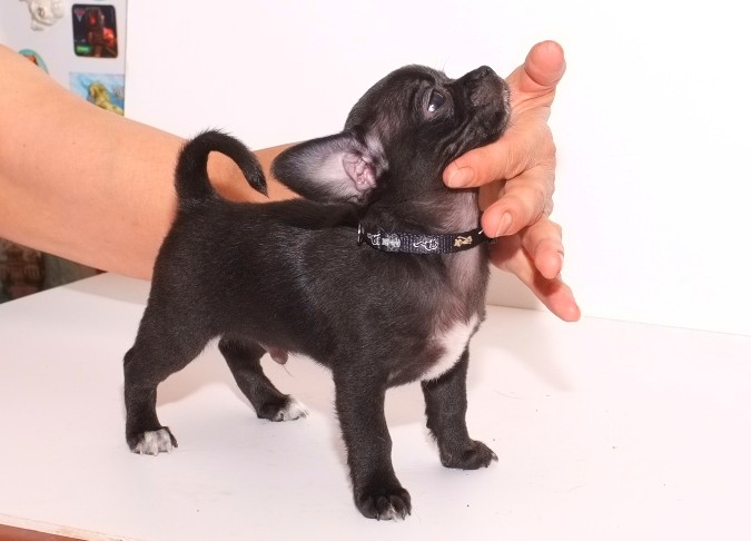 ������������� �������� �����