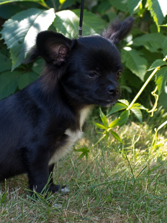 ������������� �������� �����