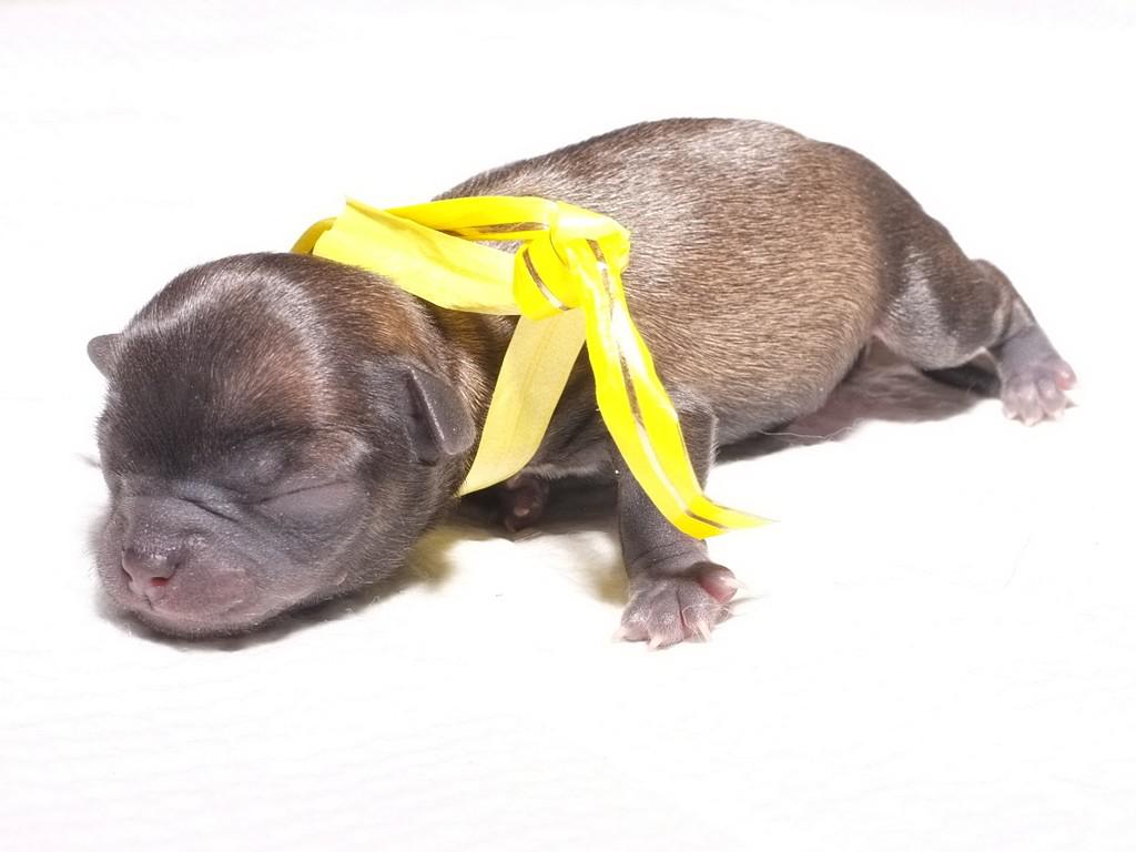 ������������� �������� �����