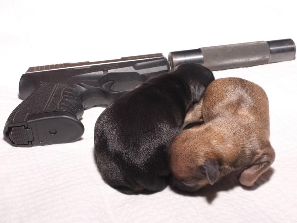 ������������� �������� �����