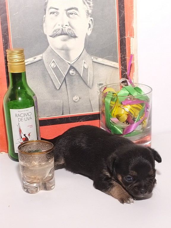 ������������� �������� �����