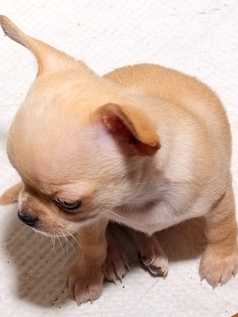 ������������� �������� �����