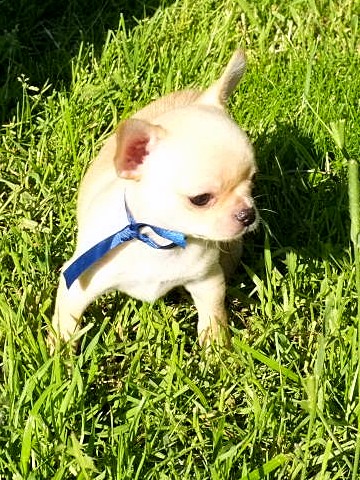 ������������� �������� �����