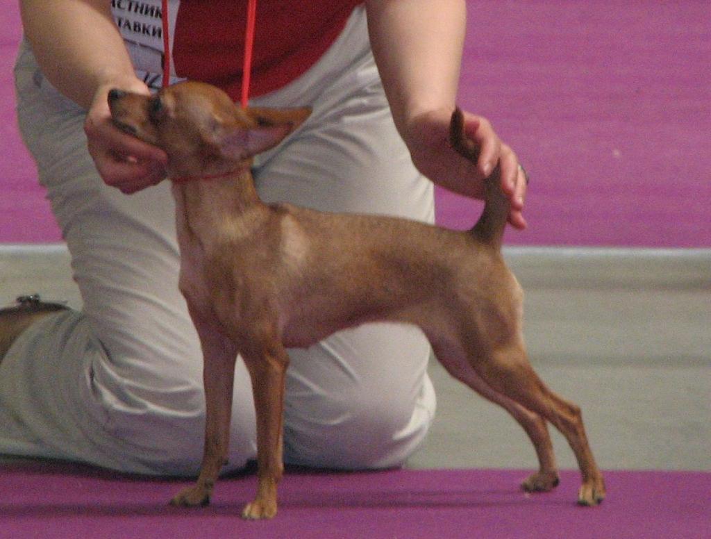 ������������� �������� �����