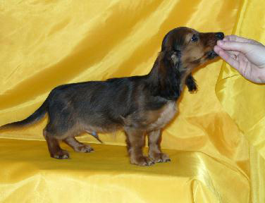 �����. ��������