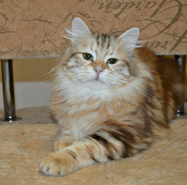 ��������� �����. ��������