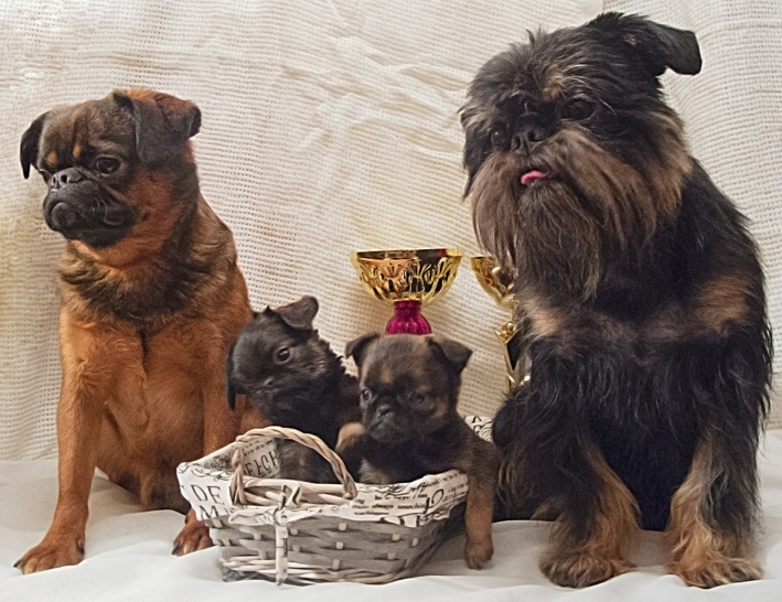 ������������� �������� �����