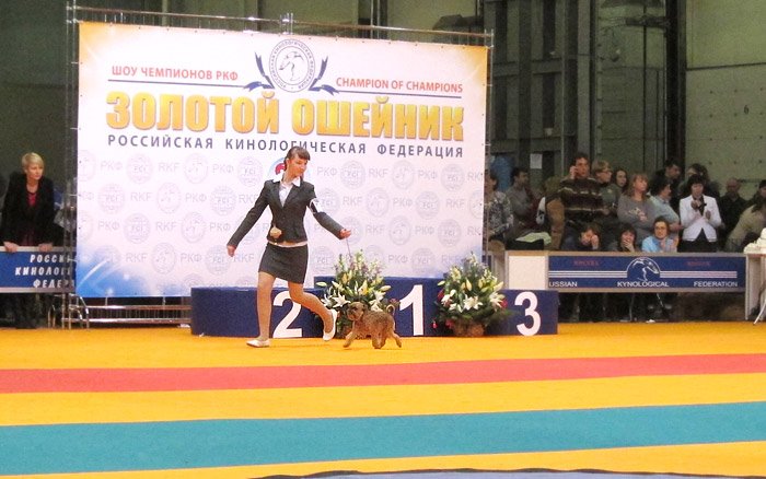 ������������� �������� �����